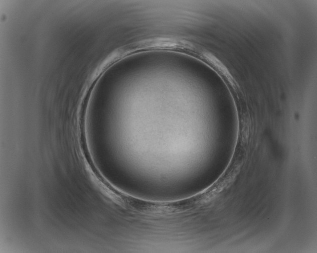 X0000087641475200705031458