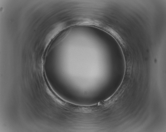 X0000087641476200705031458