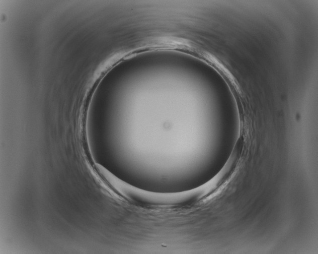 X0000087641477200705031458