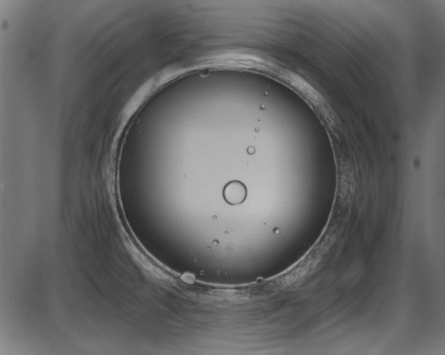 X0000087641478200705031458