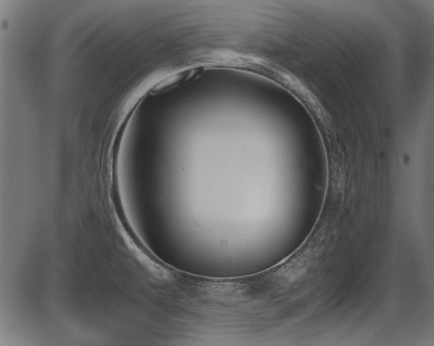 X0000087641479200705031458