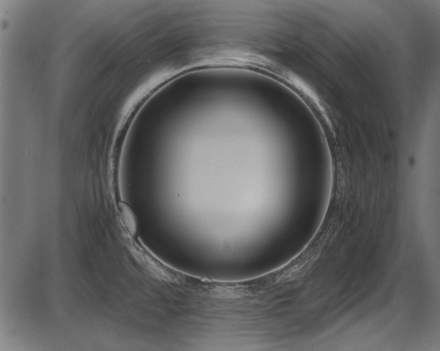 X0000087641480200705031458