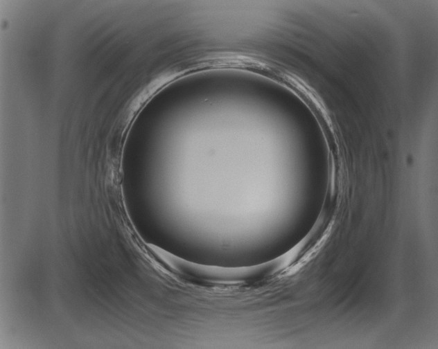 X0000087641481200705031458