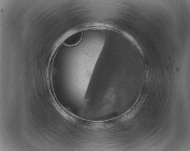 X0000087641482200705031458