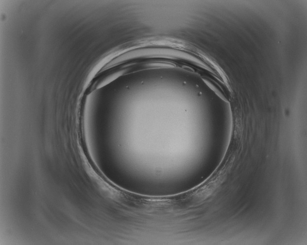 X0000087641483200705031458