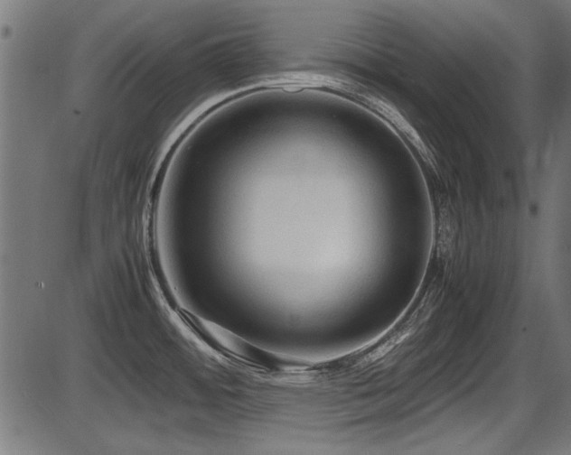 X0000087641484200705031458