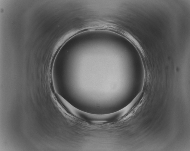 X0000087641485200705031458