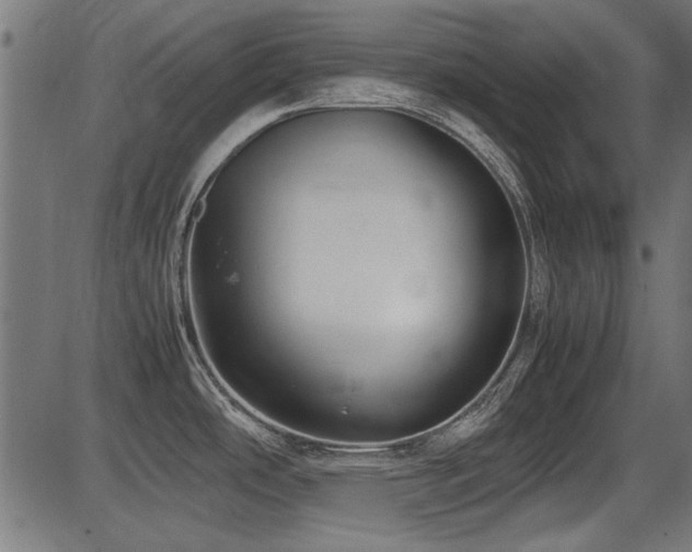 X0000087641486200705031458