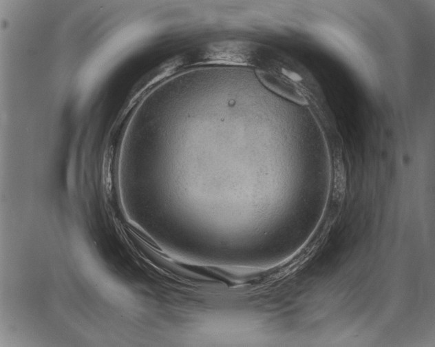 X0000087641487200705031458