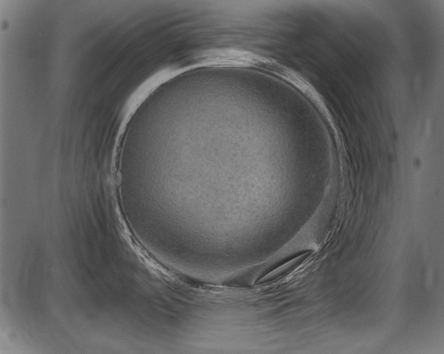 X0000087641488200705031458