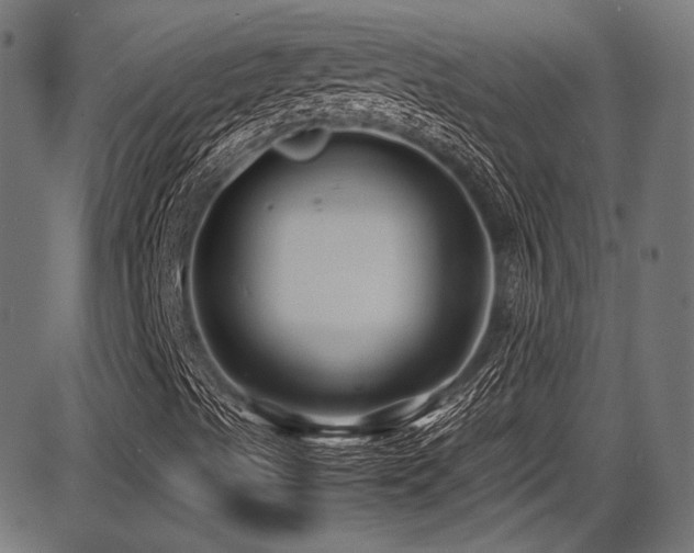 X0000087641489200705031457