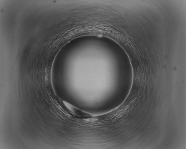 X0000087641490200705031457