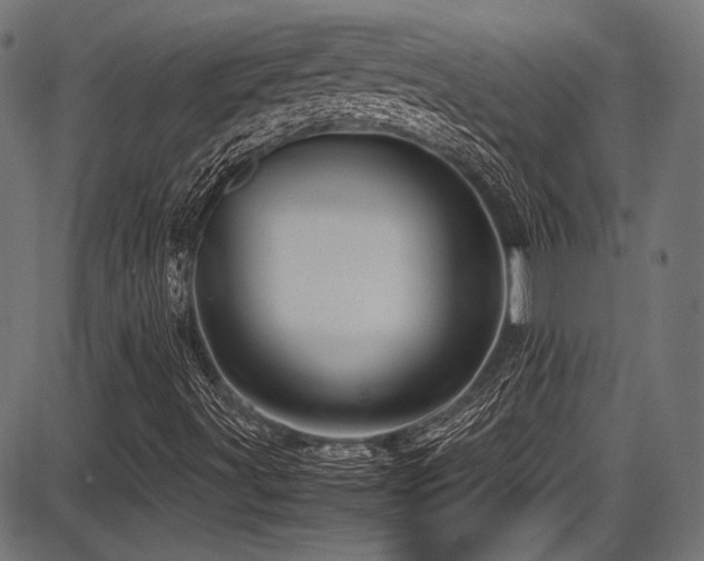 X0000087641491200705031457
