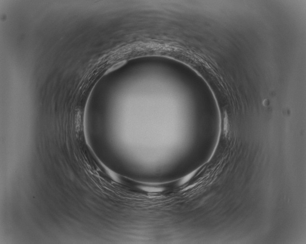 X0000087641492200705031457