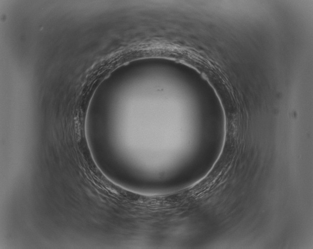 X0000087641493200705031457