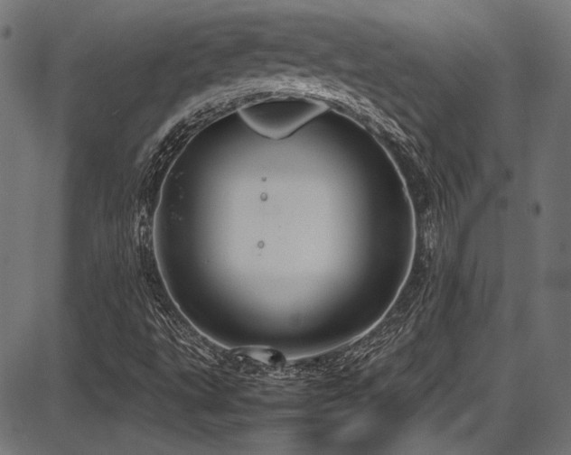 X0000087641495200705031457