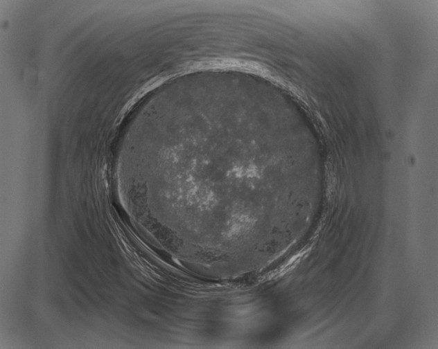 X0000087641497200705031457