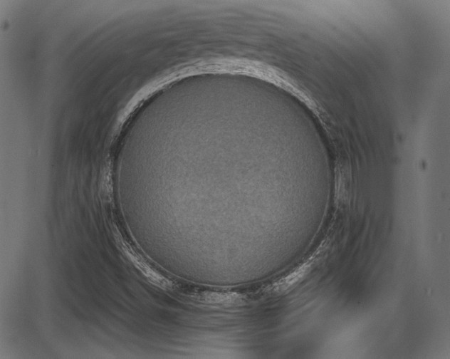 X0000087641498200705031457