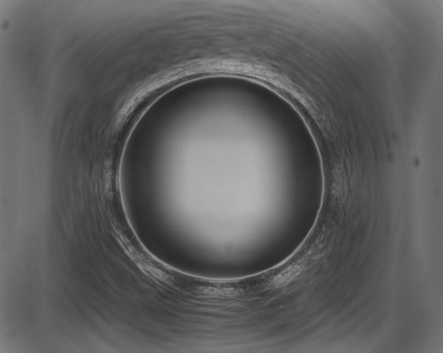 X0000087641499200705031457