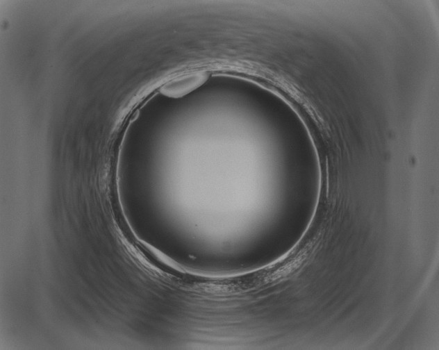 X0000087641500200705031457