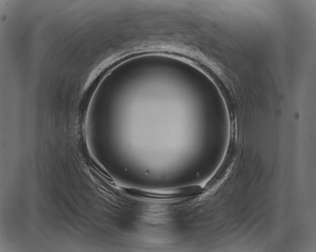 X0000087641501200705031457