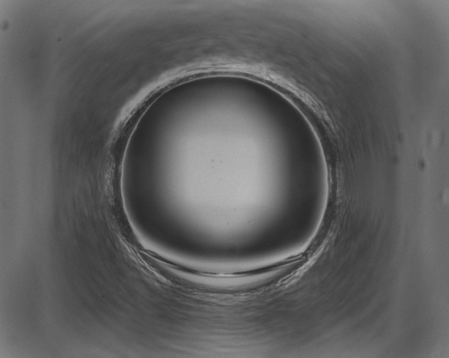 X0000087641502200705031457