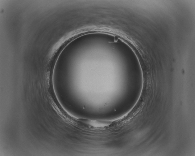 X0000087641503200705031457