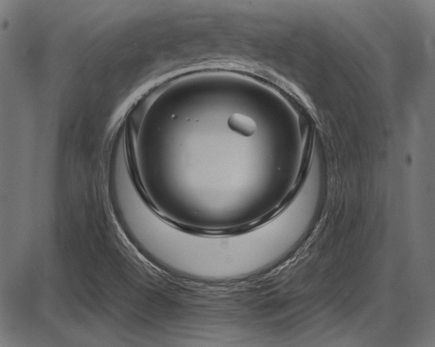 X0000087641504200705031457