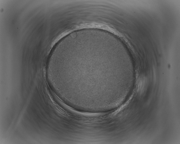 X0000087641505200705031457