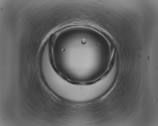 X0000087641506200705031457