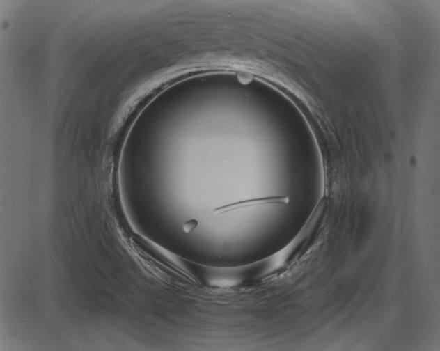 X0000087641507200705031457