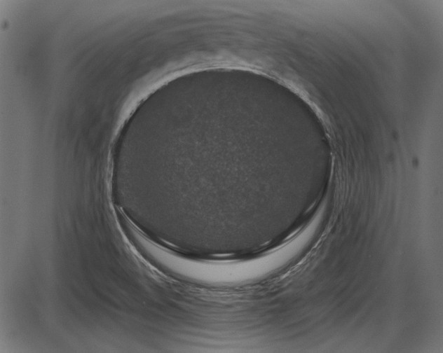 X0000087641508200705031457