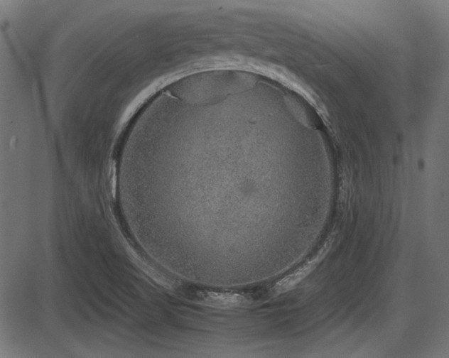 X0000087641509200705031457