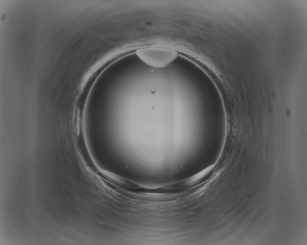 X0000087641510200705031457