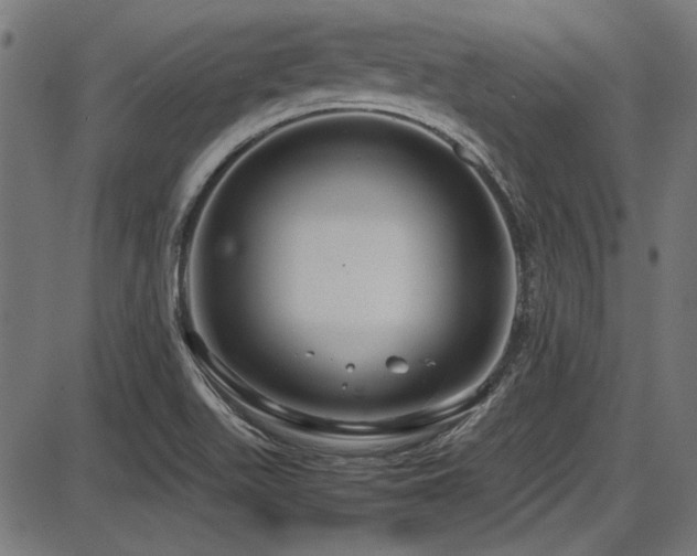 X0000087641511200705031457