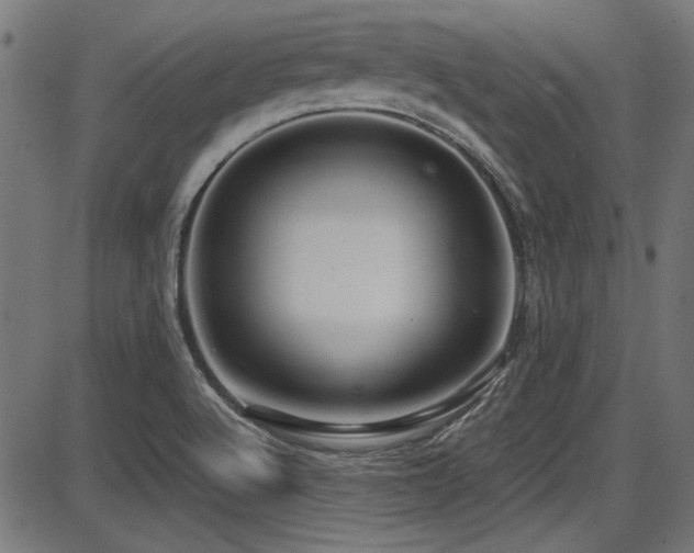 X0000087641512200705031457