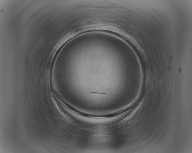 X0000087641513200705031457