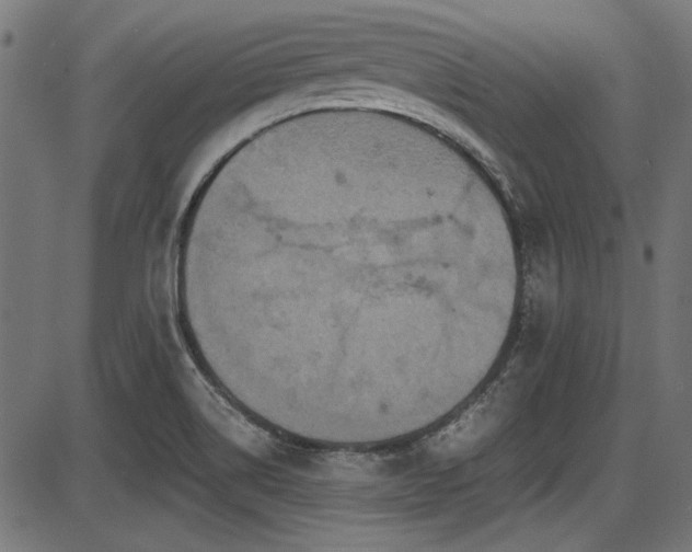 X0000087641514200705031457