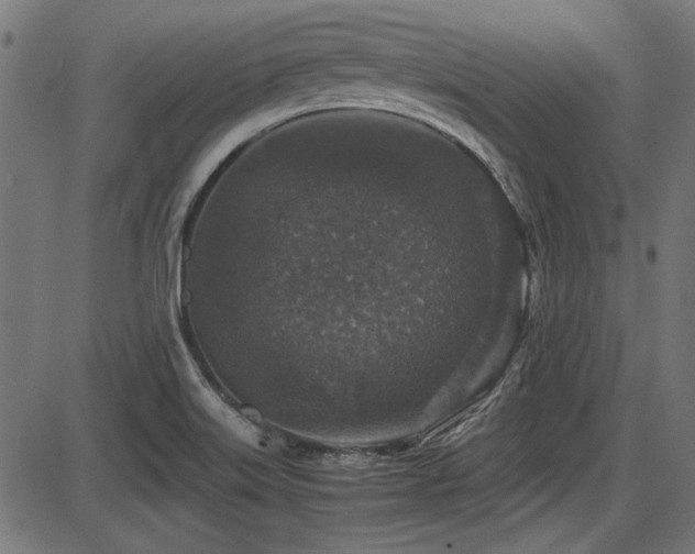 X0000087641515200705031457