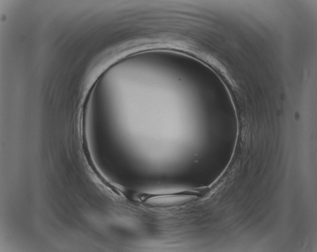 X0000087641516200705031457