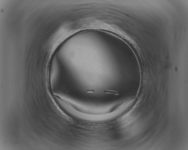 X0000087641517200705031457