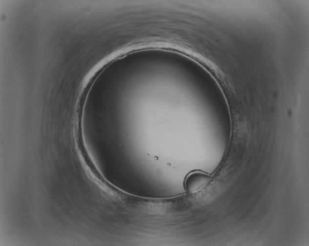 X0000087641518200705031457