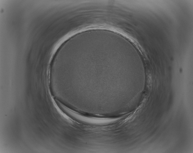 X0000087641519200705031457