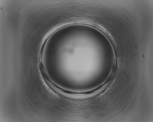 X0000087641520200705031457