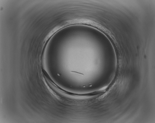 X0000087641521200705031457