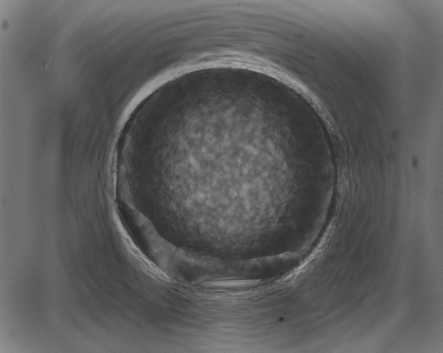 X0000087641522200705031457