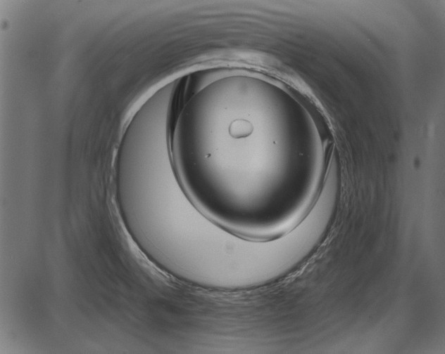 X0000087641524200705031457