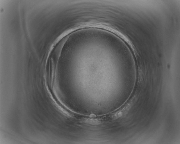 X0000087641525200705031458