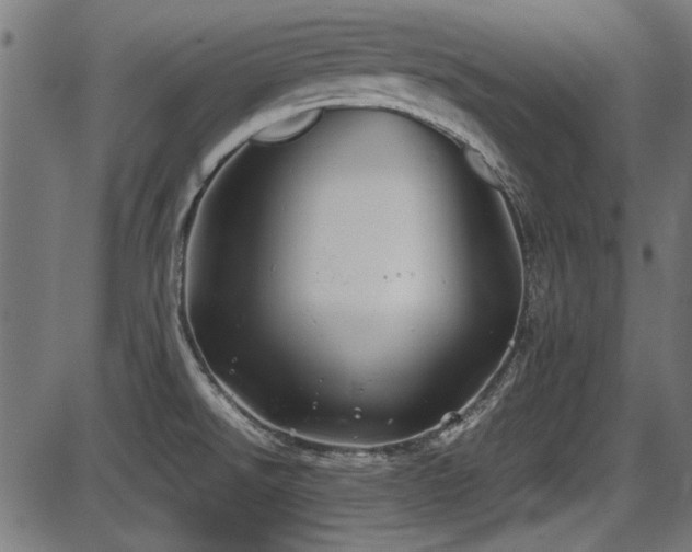 X0000087641526200705031458