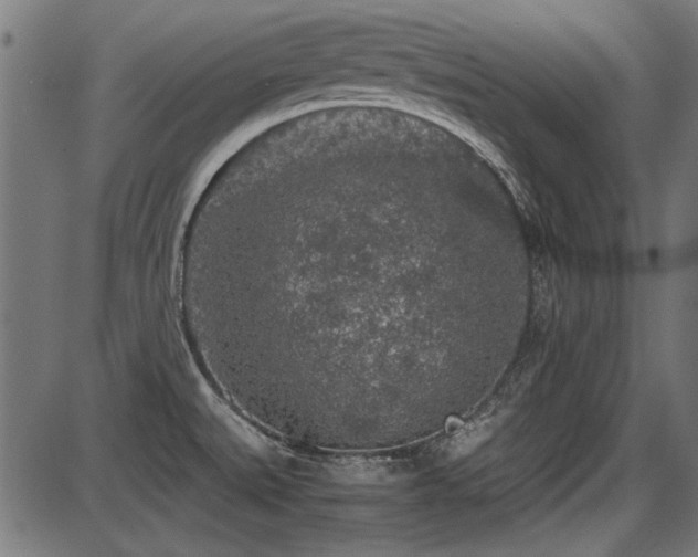 X0000087641527200705031458